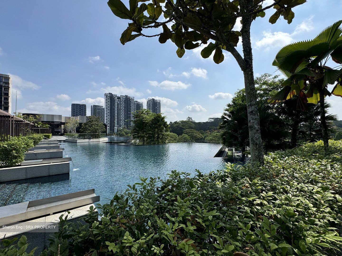 Dairy Farm Residences (D23), Apartment #558539631